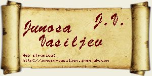 Junoša Vasiljev vizit kartica